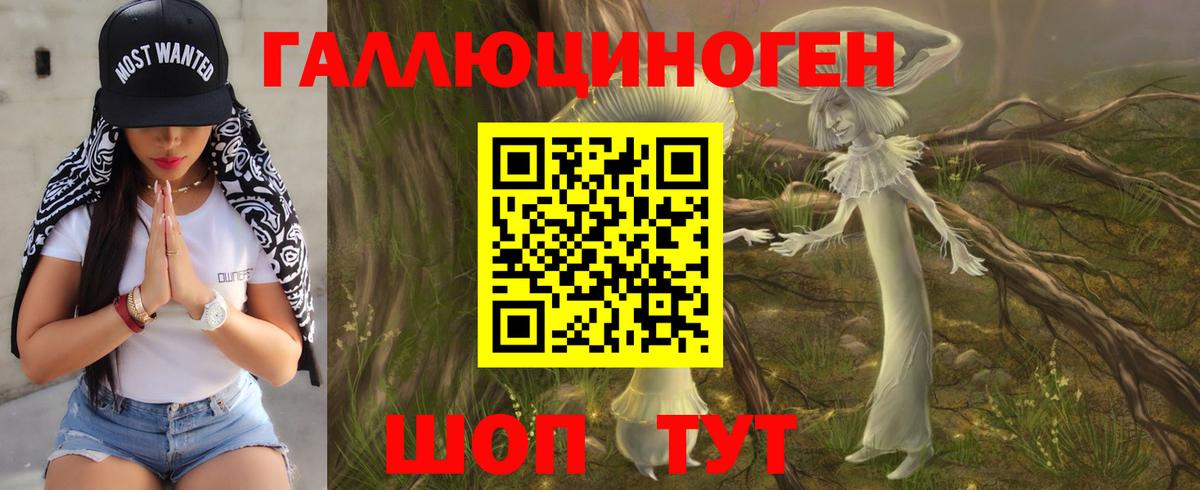 Псилоцибиновые грибы Psilocybine cubensis Заводоуковск